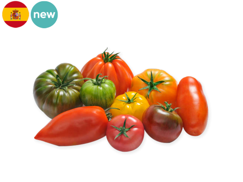 Tomato_Saveur_Antan_Spain_FTOMA39