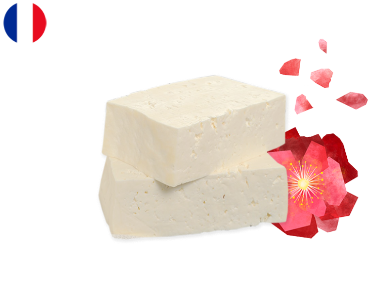 Tome_Fraiche_CTOME21