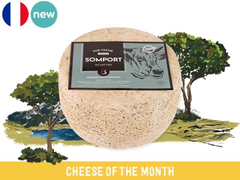 Tomme_Somport_Fermière_des_Pyrénées_CTOMM35