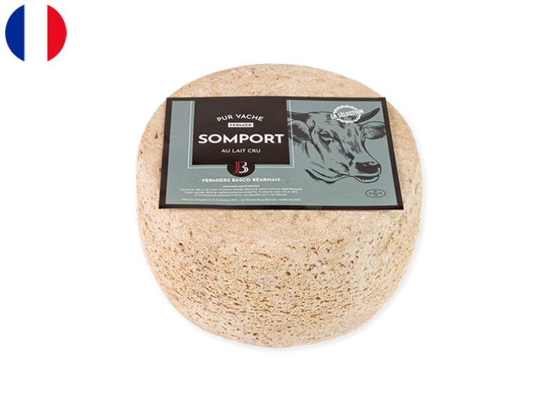 Tomme_Somport_Fermière_des_Pyrénées_CTOMM35