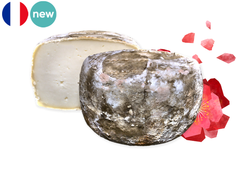 Tomme_de_Soureliette_CTOMM39