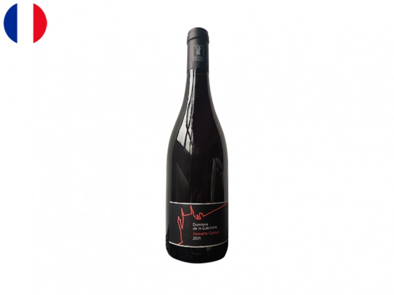 Touraine_AOC_Gamay_Domaine_de_la_Gabiliere_2021_LV_WREDX112