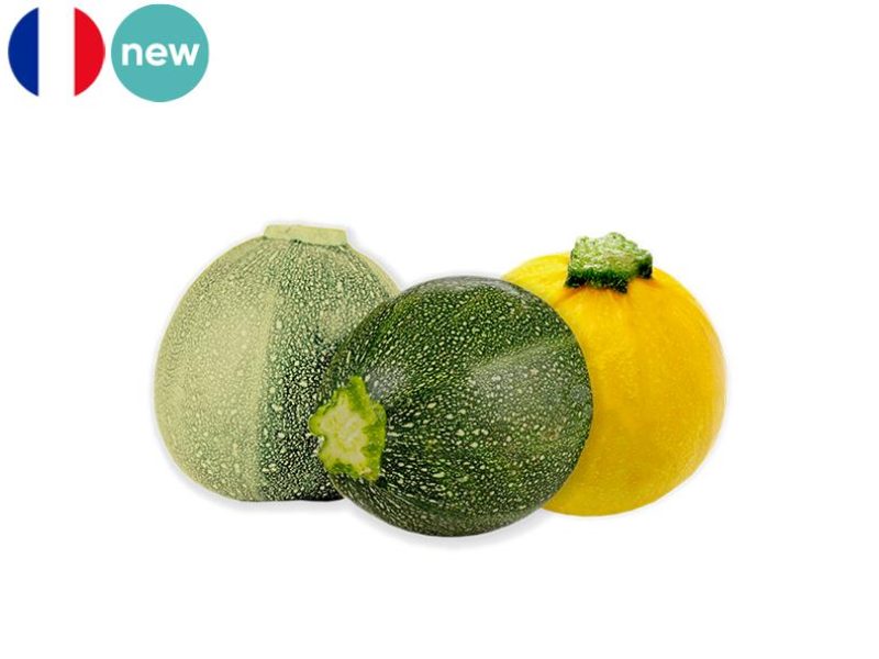 Tricolor_Round_Zucchini_FZUCC12