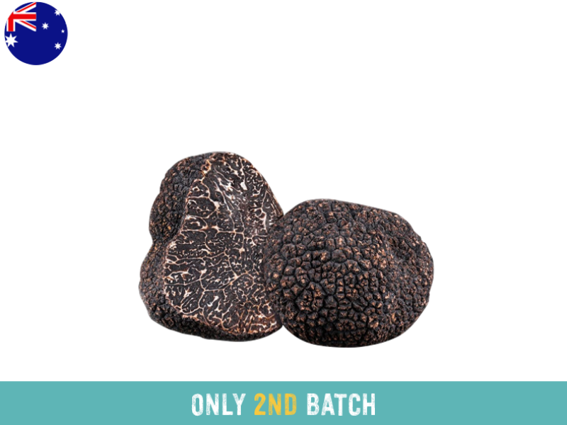 Truffle_Fresh_from_Australia_2ND BATCH_FTRUF01
