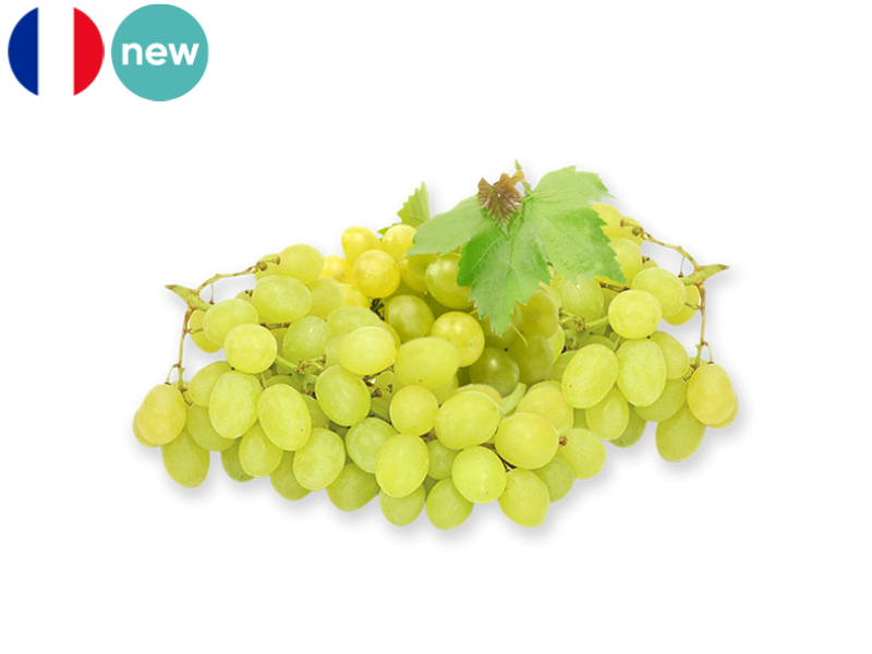 WHITE_GRAPE_EXALTA_FGRAP32