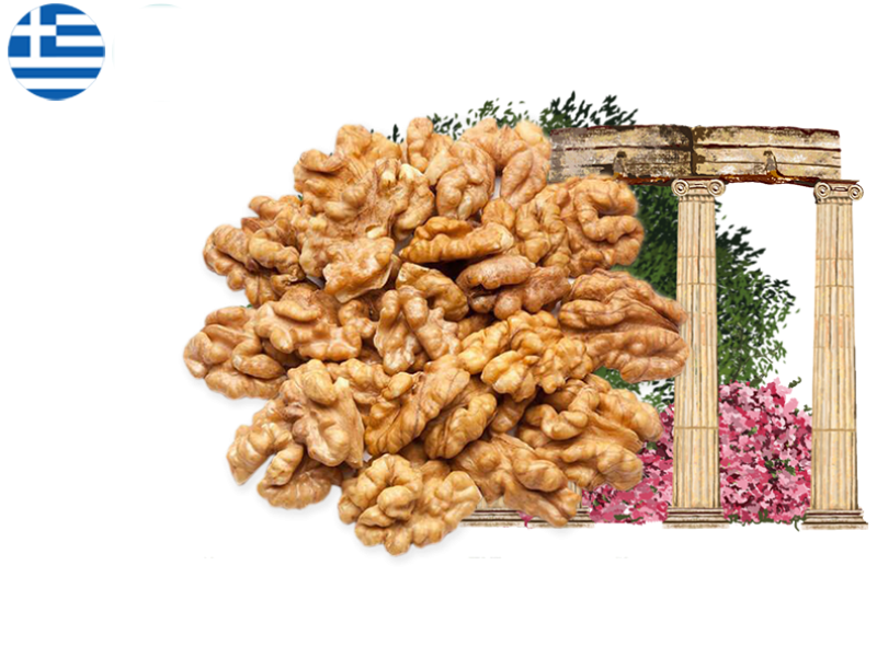 Walnut_Kernel_from_Greece_FWALN04