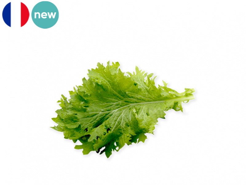organic wazabina veggie delivery hong kong