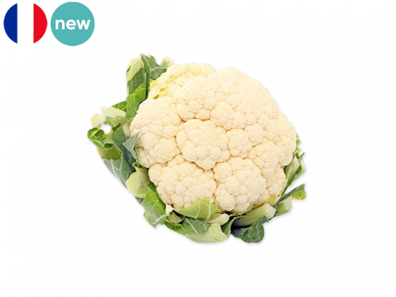 White_Cauliflowe_New_FCAUL01