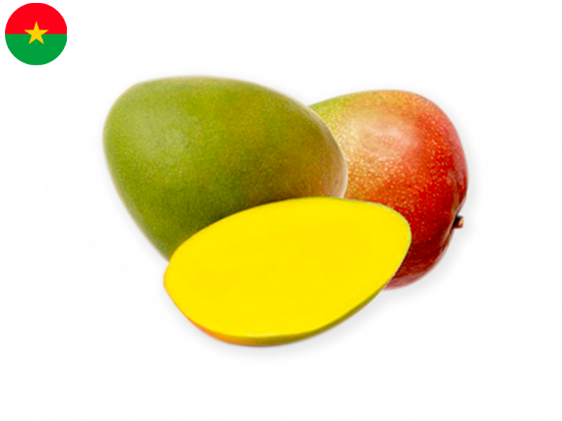 amelie_mango_FMANG09