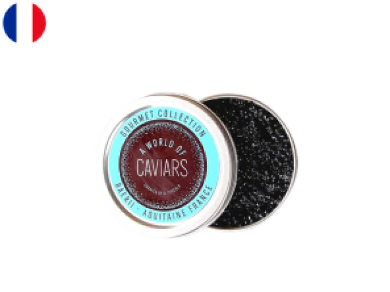 b92f0285-7ad8-46bc-91b0-b7eca2ff0f47