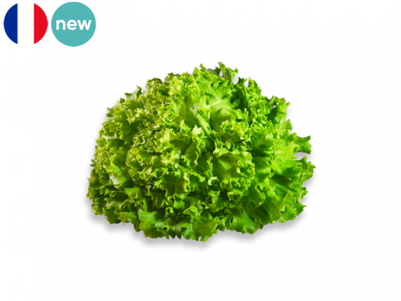 batavia_green_salad_new_FSALA02 (1)