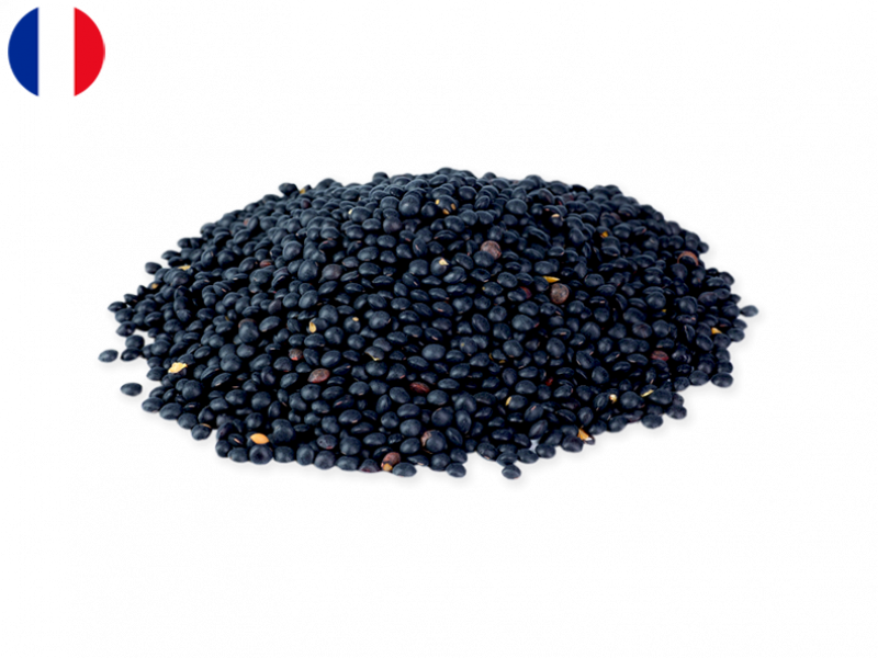 black_beluga_lentils_FLENT04