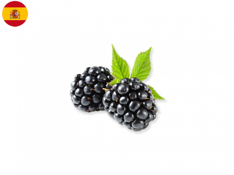 blackberry_FBLAC01