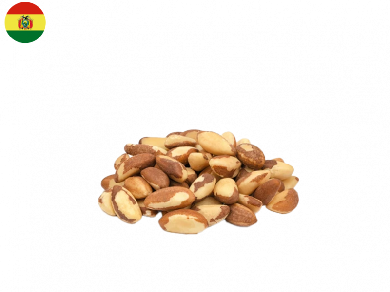 brazil_walnut_paranuss_FWALM02