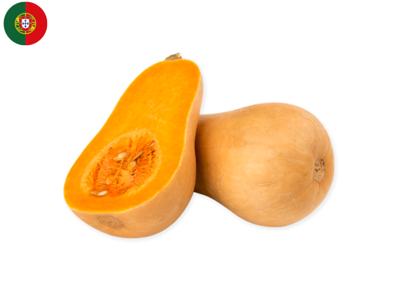 butternut_squash_FSQUA04