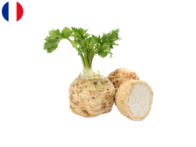 celeriac_FCELE02