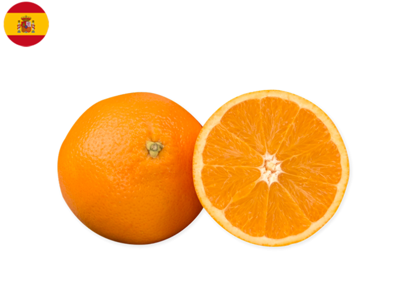 chislett_orange_FORAN15