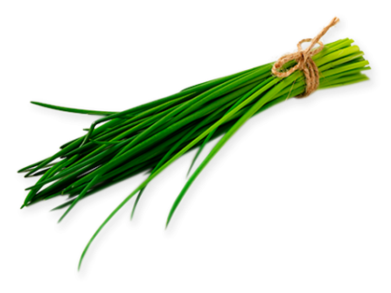 chive