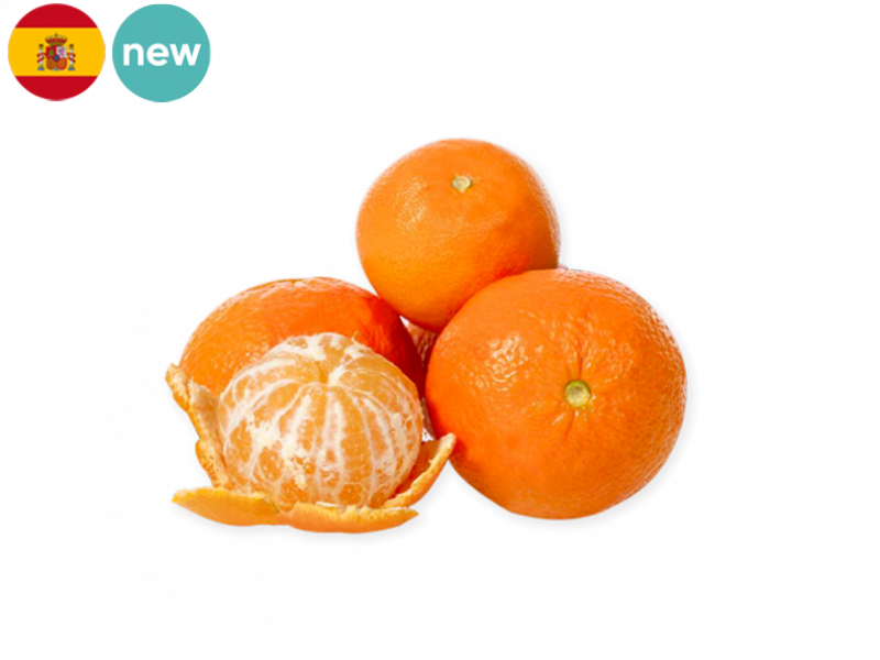 clemenvilla_mandarine_new_FMAND03