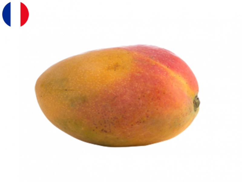 cogshall_mango_FMANG06