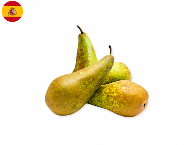 conference_pear_FPEAR17