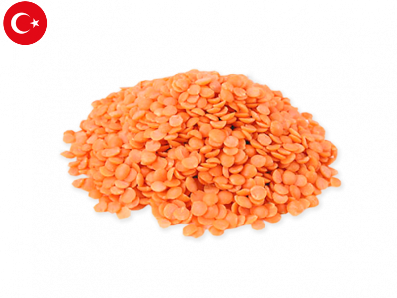 coral_lentils_FLENT02