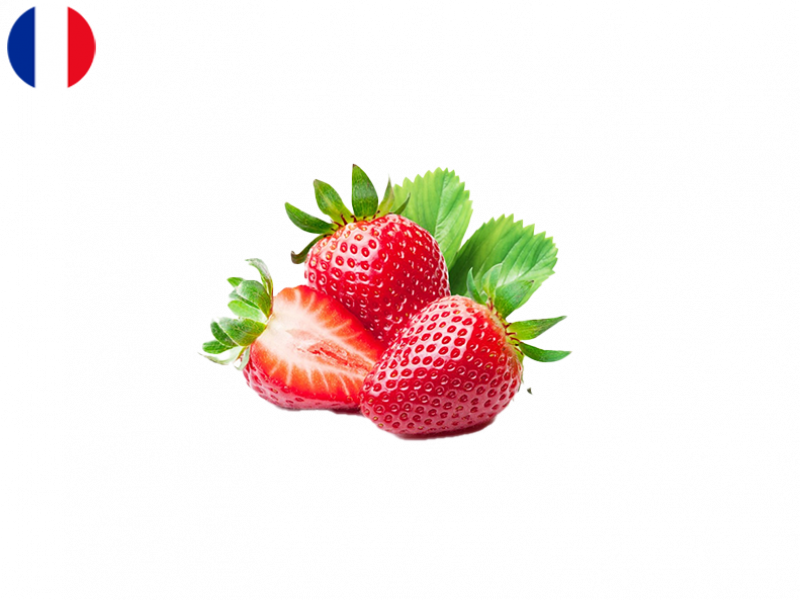 dream_strawberry_FSTRA04