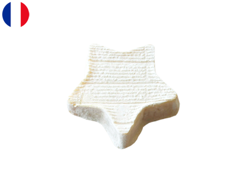 etoile_de_gatine_cetoi01