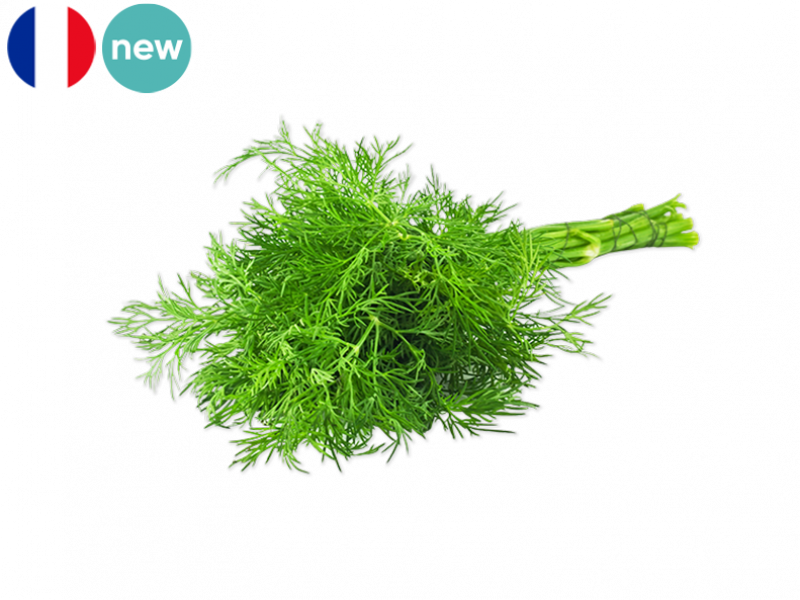 fresh_dill_new_FDILL01