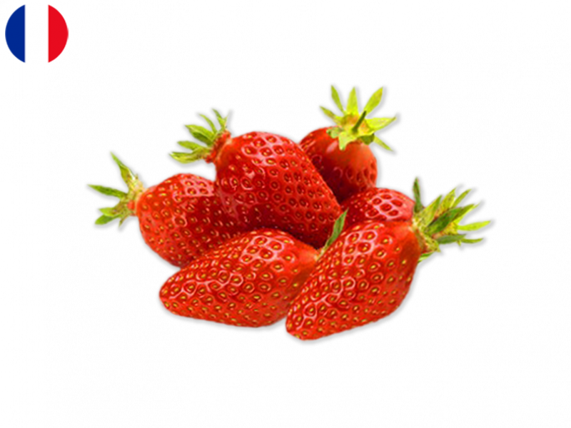 gariguette_strawberry_FSTRA03