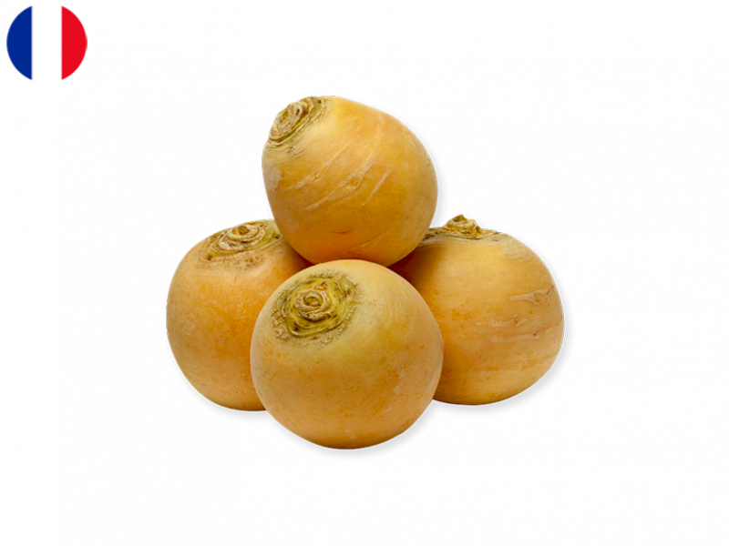 gold_ball_turnip_FTURN03