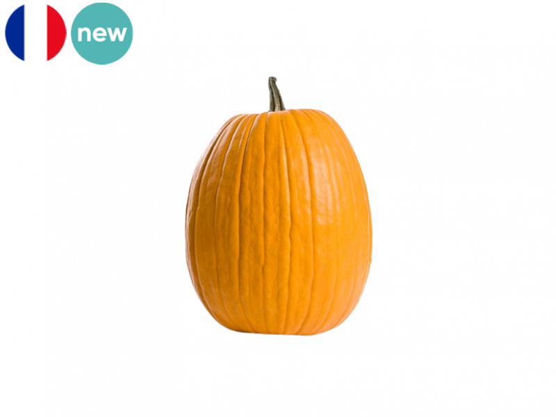 jacko_lantern_squash_FSQUA08