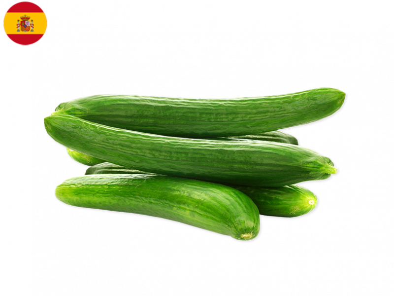 long_cucumber_FCUCU04