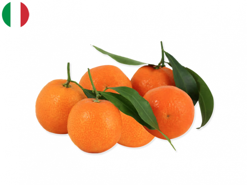 mandarin_with_leaves_from_italy_FMAND08