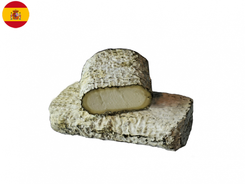 monte_enebro_CENEB01