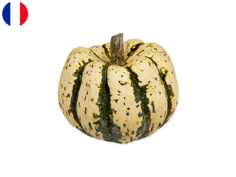 patidou_squash_FSQUA09