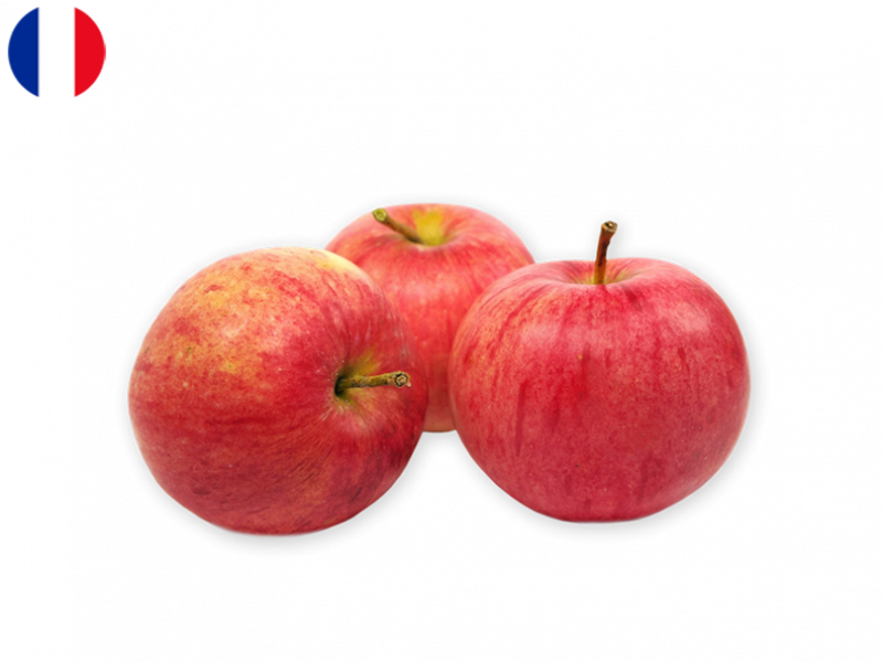 pink_lady_apple_FAPPL16