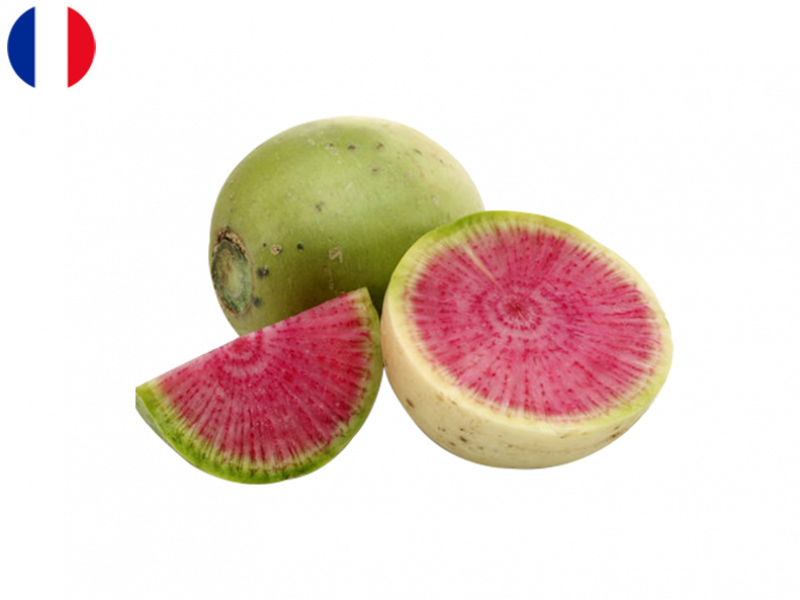 pink_meat_radish_FRADI06