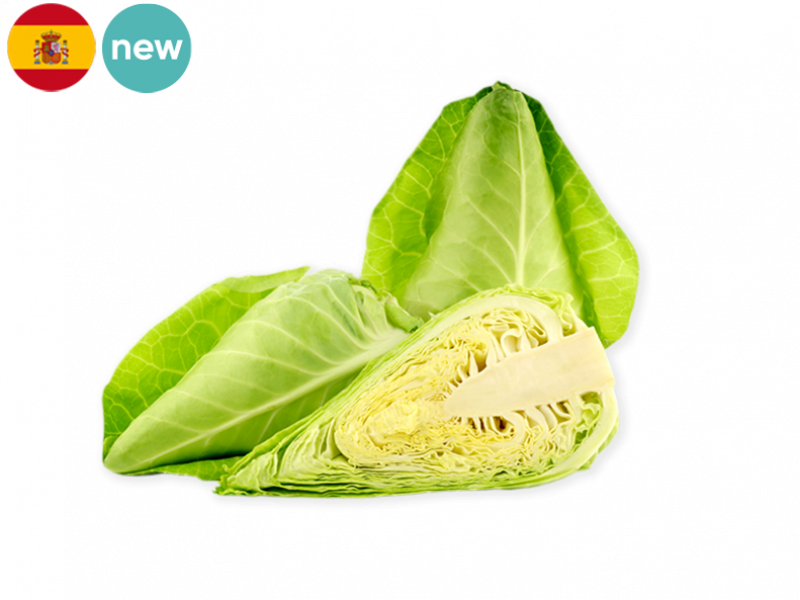 pointed_cabbage_new_FCABB03