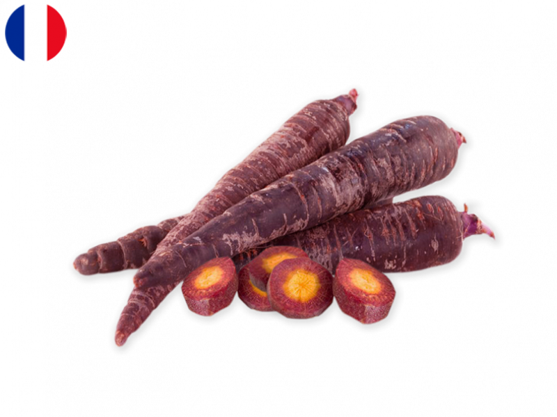 purple_carrot_FCARR07