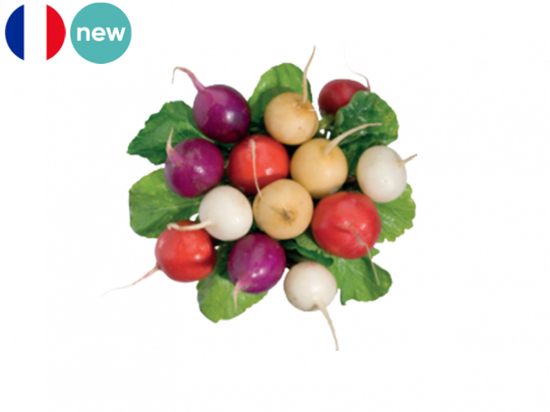rainbow_radish_new_FRADI07