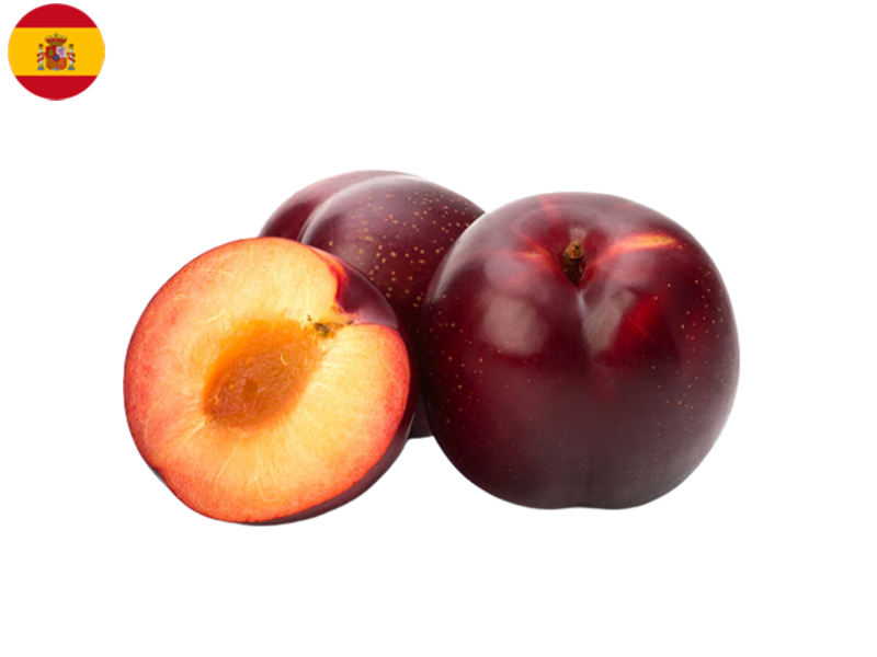red_beauty_plum_FPLUM09