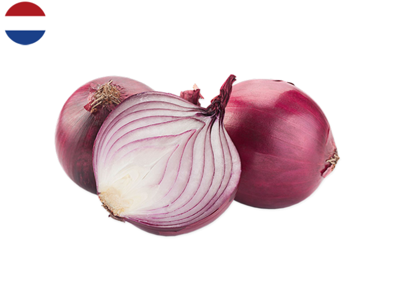 red_onion_FONIO08