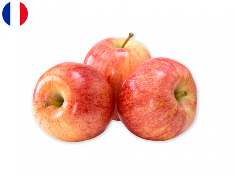 rosa_sweet_apple_FAPPL21