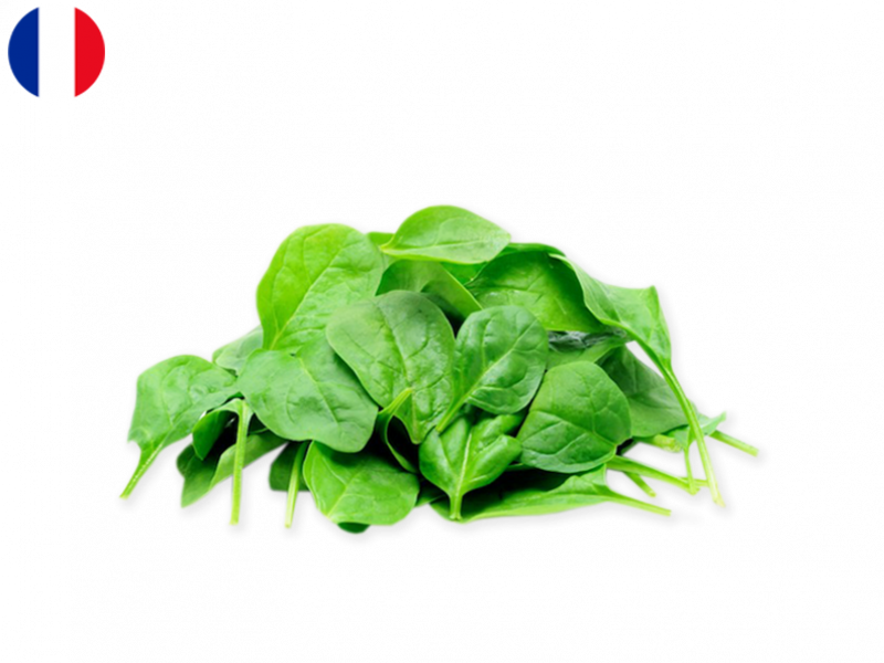 spinach_leaves_FSPIN01