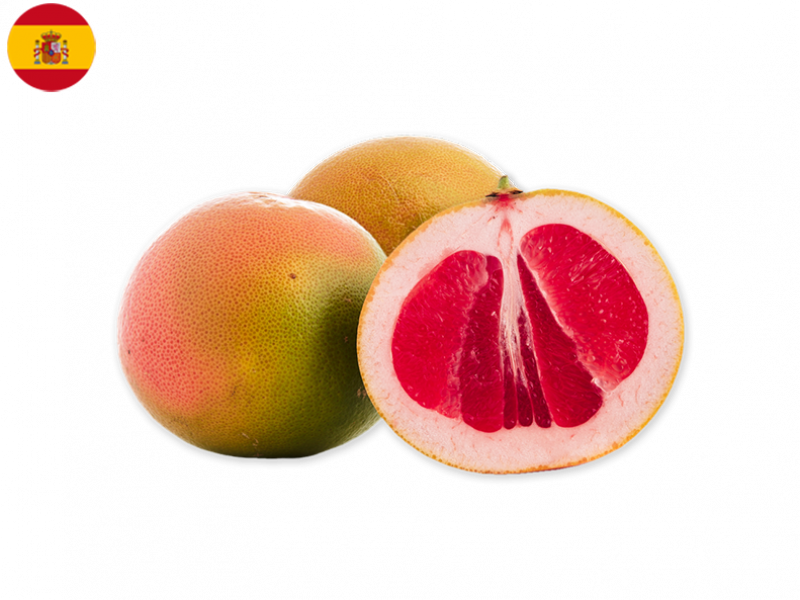 star_ruby_grapefruit_FGRFR03 (2)