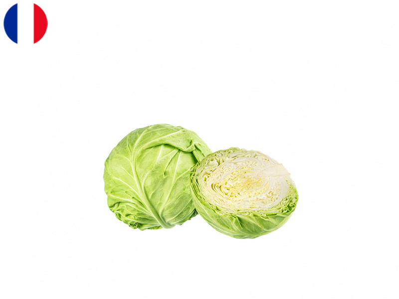 white_cabbage_FCABB04
