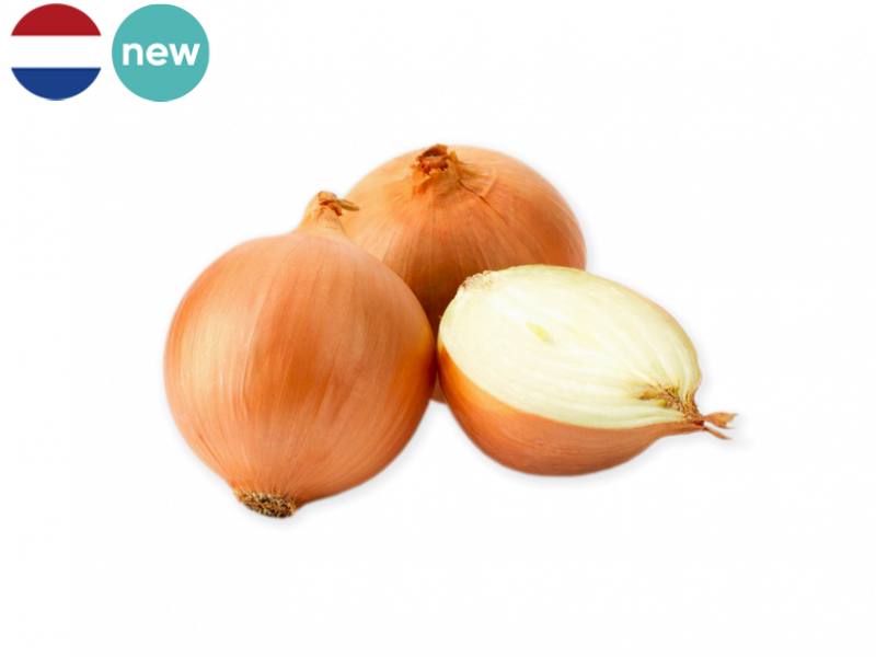 yellow_onion_new_FONIO12