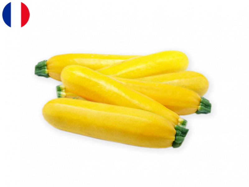 yellow_zucchini_FZUCC07