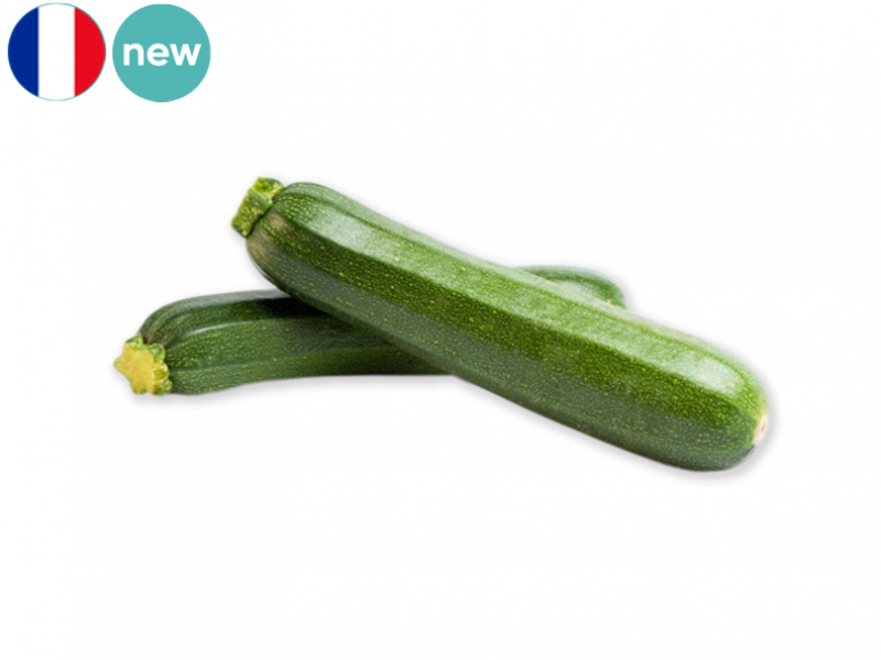 zucchini_new_FZUCC09